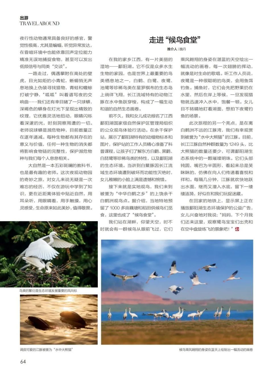 出游|这个夏天,带孩子来一场探索自然秘境的游学吧