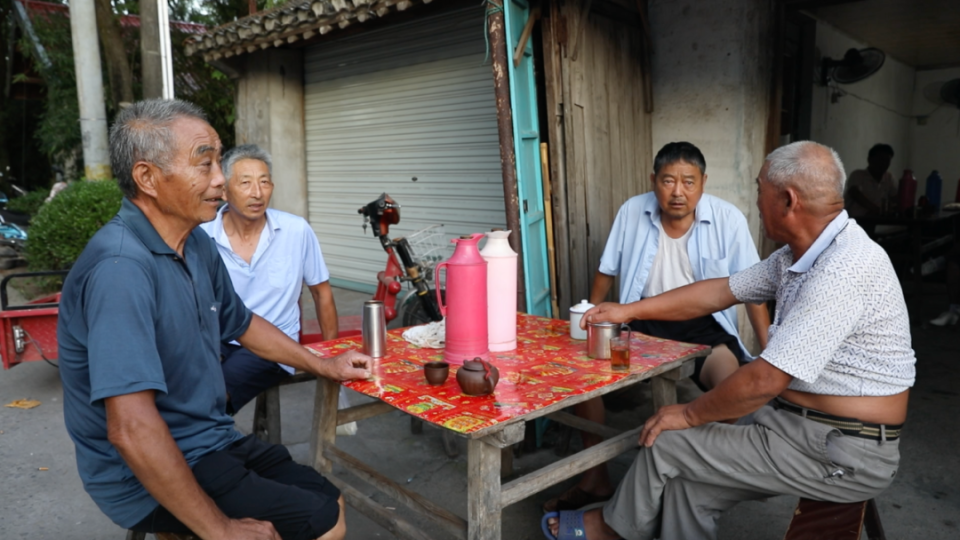 崇明区手工茶叶供应点（崇明区手工茶叶供应点在那边

）《崇明茶叶店》