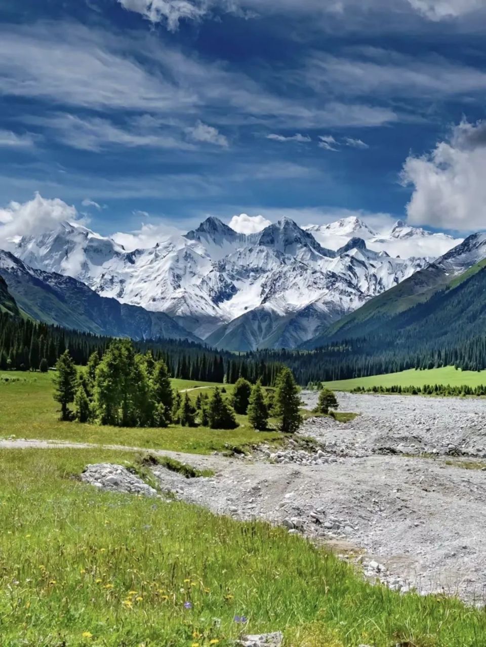 新疆,热烈了中国