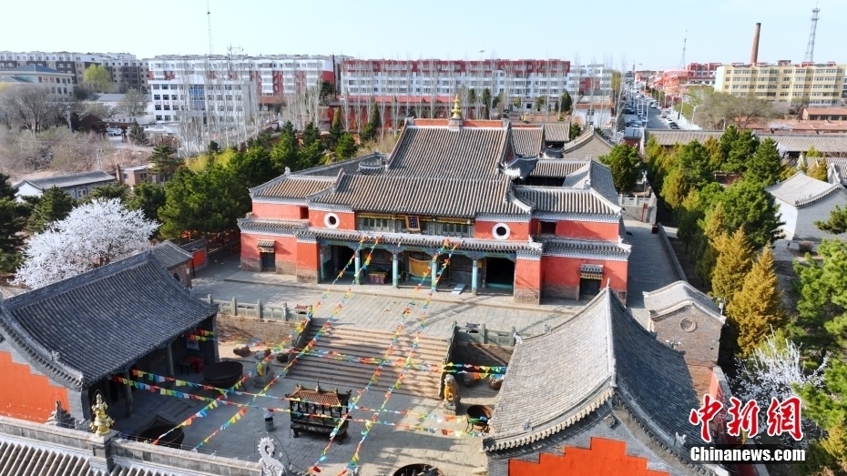 库伦三大寺院兴源寺内桃花盛开_腾讯新闻
