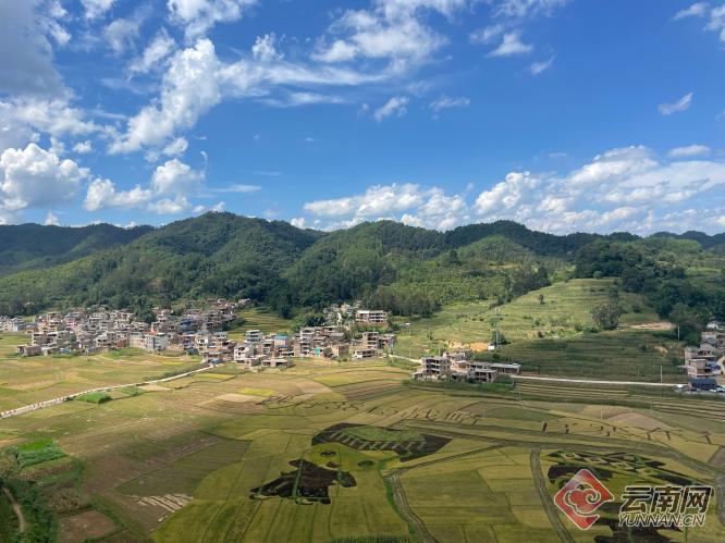 云南丘北集体经济活乡村产业兴