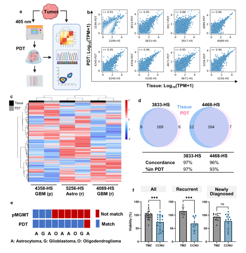 生物3d打印联合ai算法,神经外科团队开发研究脑胶质瘤