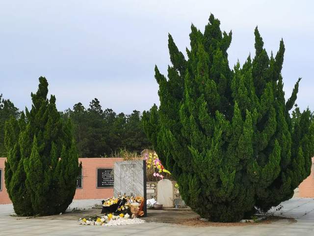 清明,有人在王小波墓前睡着了