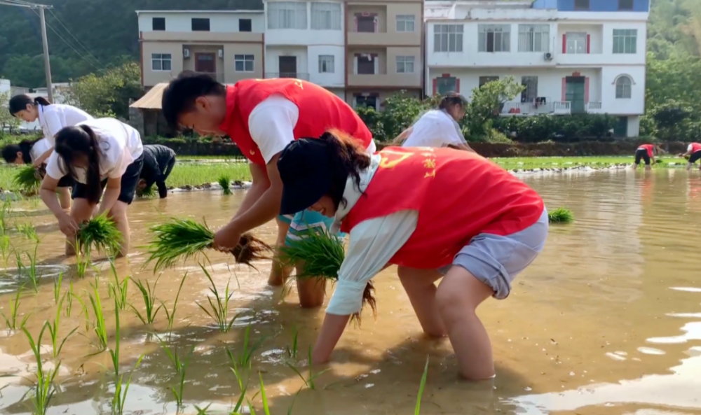 绘好"春耕图" 孕育"丰收景"!崇左各地春耕春种工作有序进行