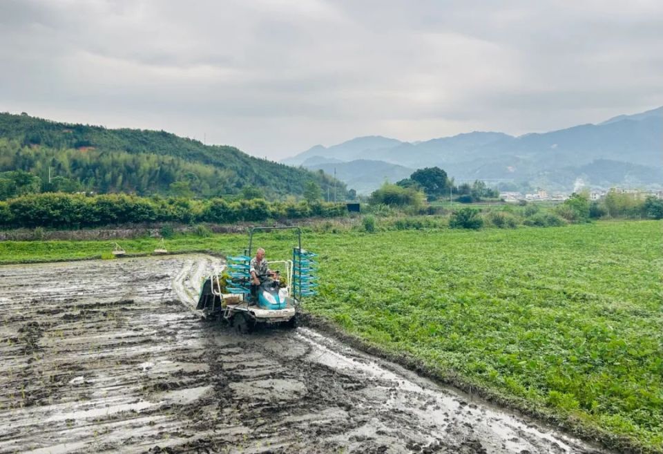 姑田镇人大代表华庆福主动作为,成立姑田镇富业农机专业合作社,吸纳50