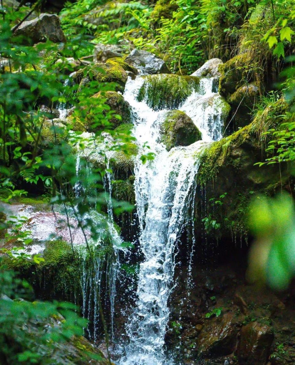 黑竹沟风景区最佳季节图片