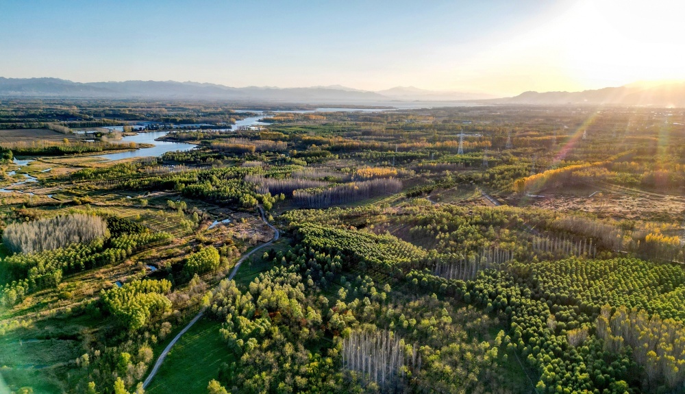 森林覆盖率达44.8% 北京获"国家森林城市"称号_腾讯新闻