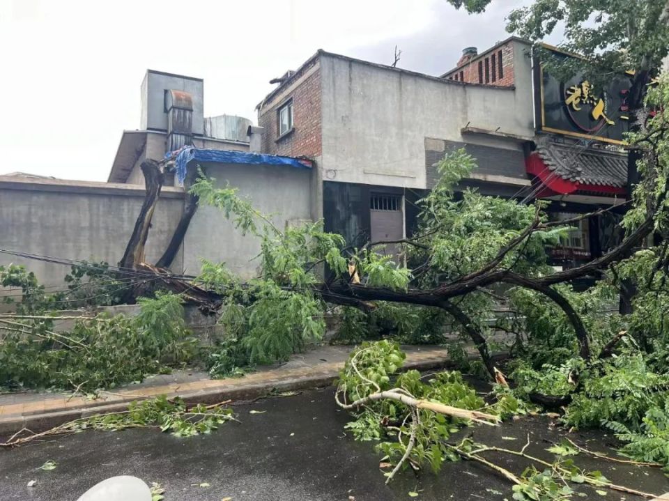 发布记者x按住画面移动小窗倍速00:00/00:00不过,随着雷暴雨快速过境