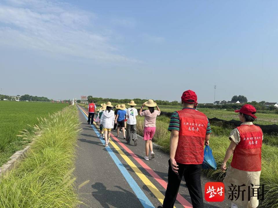 "守护耕地绿,张家港市青少年走进乡村变身耕地"小卫士!