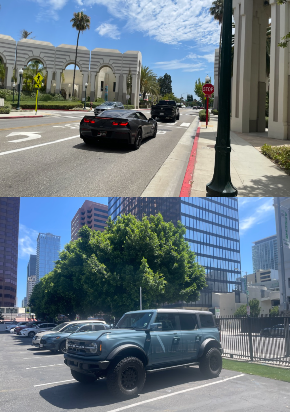 《和儿子游美国》第一期:洛杉矶的几个没想到