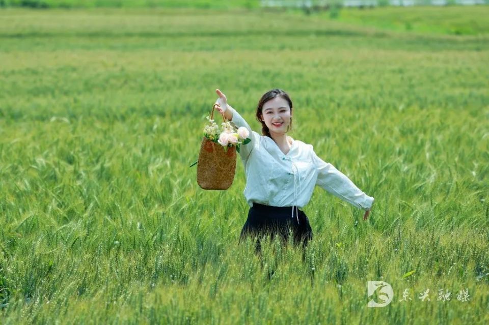 春季限定,200亩绿色麦田等你打卡