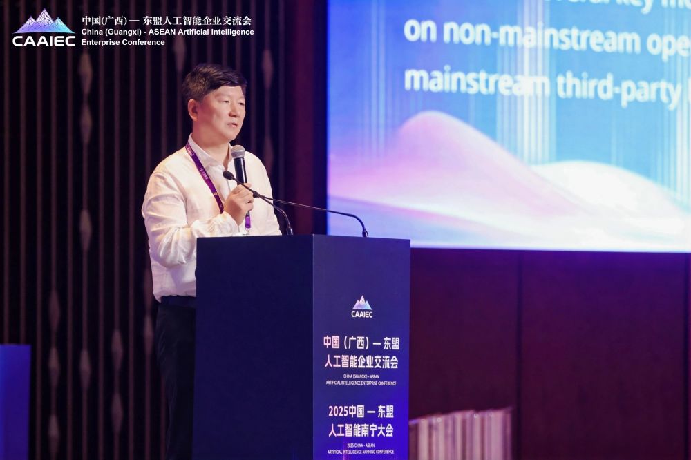 2025中国—东盟人工智能南宁大会圆满落幕 · 原文图片 16