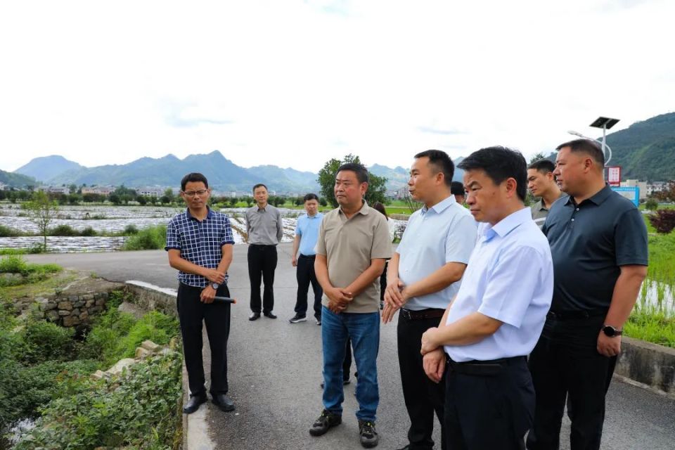 检查组一行先后到蒲场镇大溪村,枧坝镇黄鱼村,旺草镇晨光村等地,实地