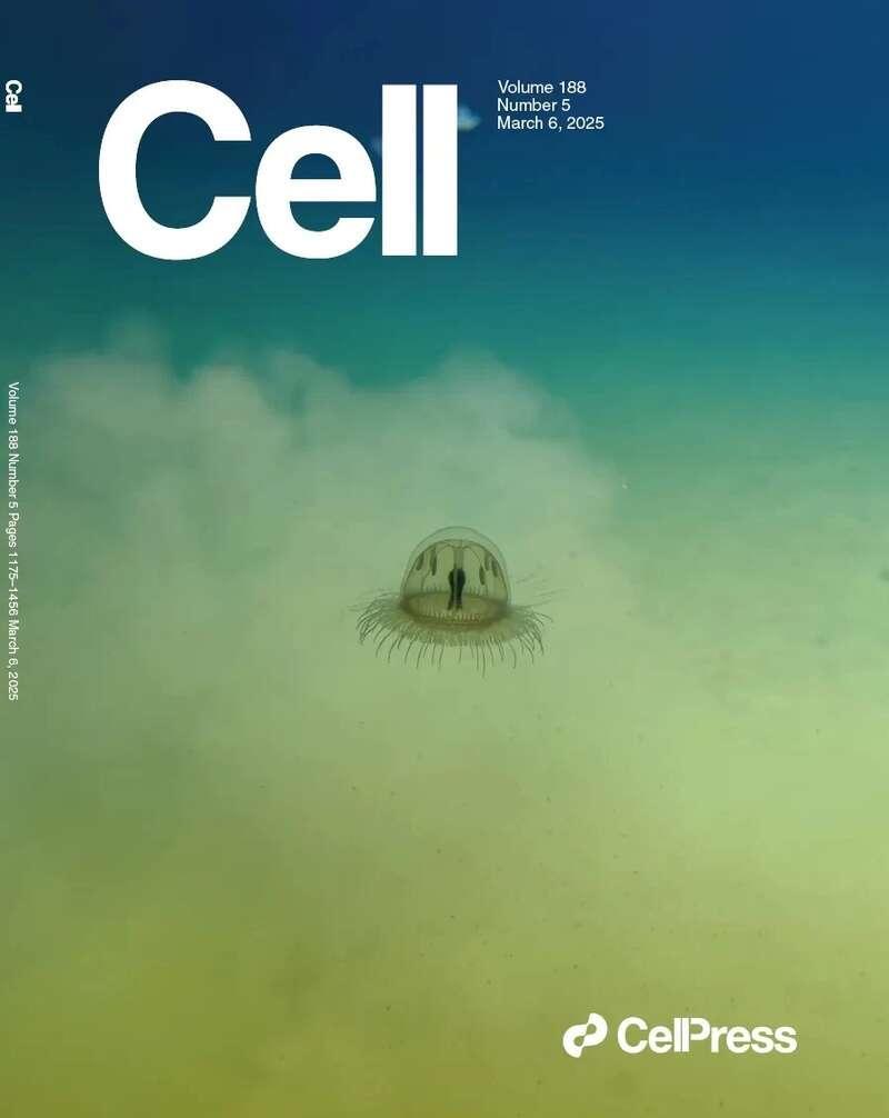 深渊里的动物什么样?《细胞》专辑报道我国深海生命科学研究-腾讯新闻