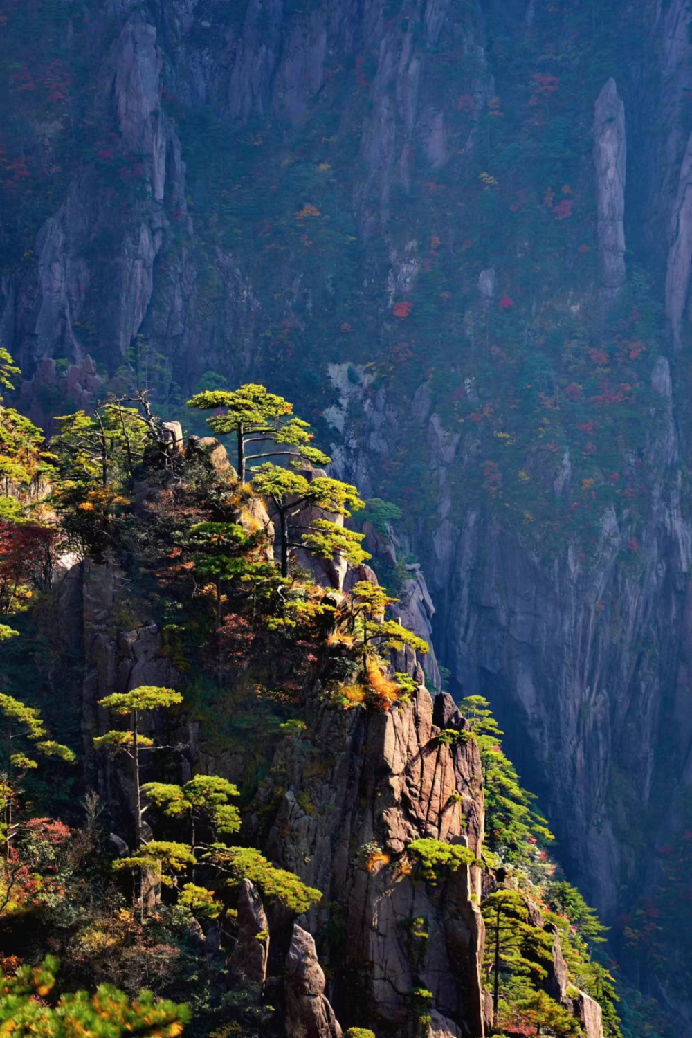 云上黄山5gvr带你欣赏人间仙境