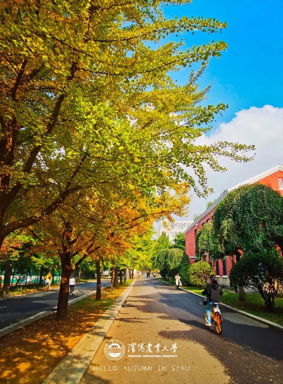 大学*辽宁科技学院*盘锦职业技术学院*营口职业技术学院*还记得母校的