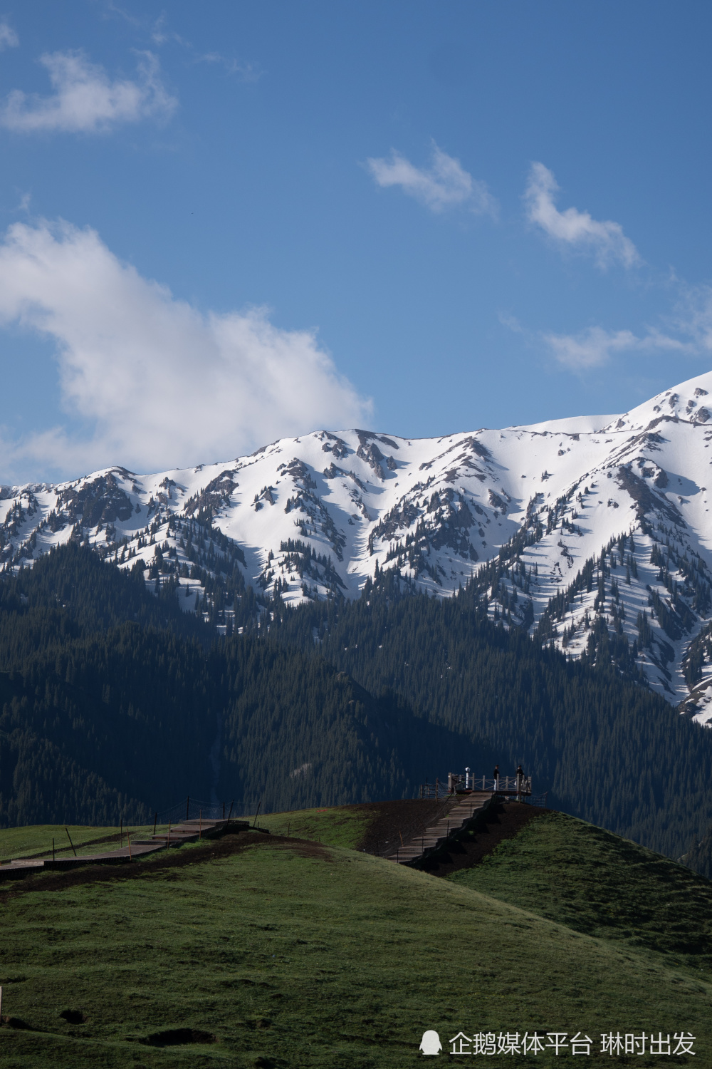 来果子沟开启"骑"秒冒险