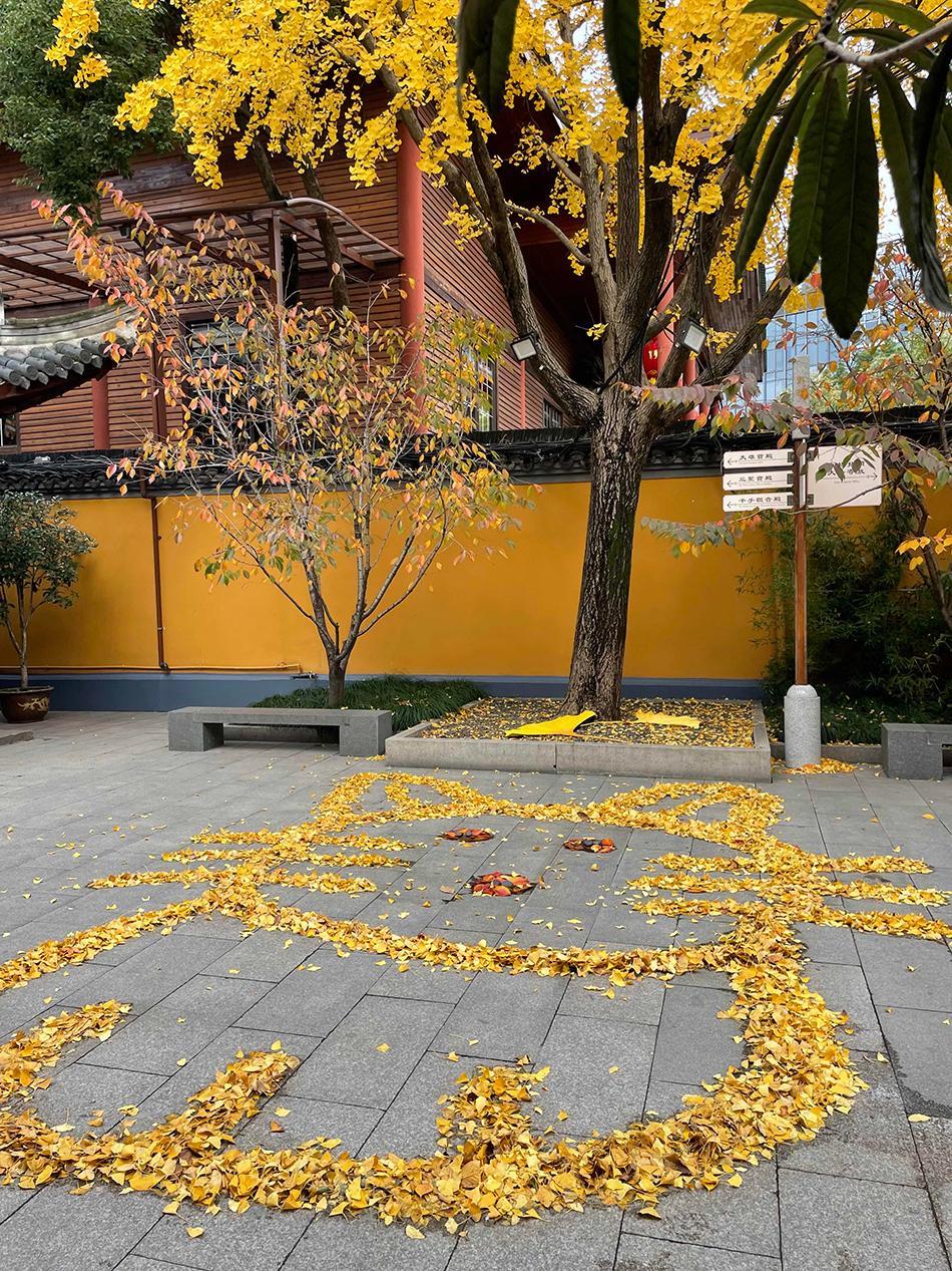 上海龙华寺“银杏猫咪”走红，“扫地僧”摆出造型各异落叶堆