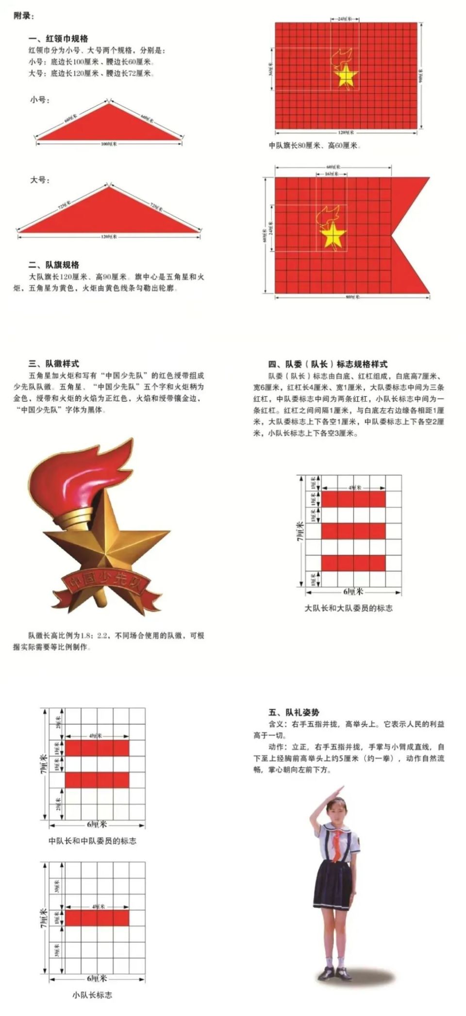 红领巾的尺寸底和高图片