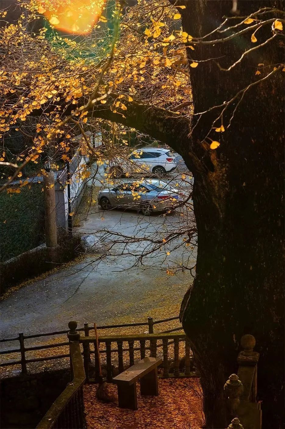 横峰 | 初冬美景亦斑斓,半是秋景半是冬