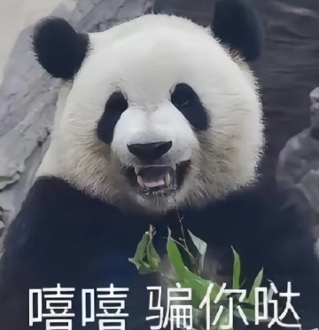 被一条免费数据线"背刺"上万元!小心新型骗局