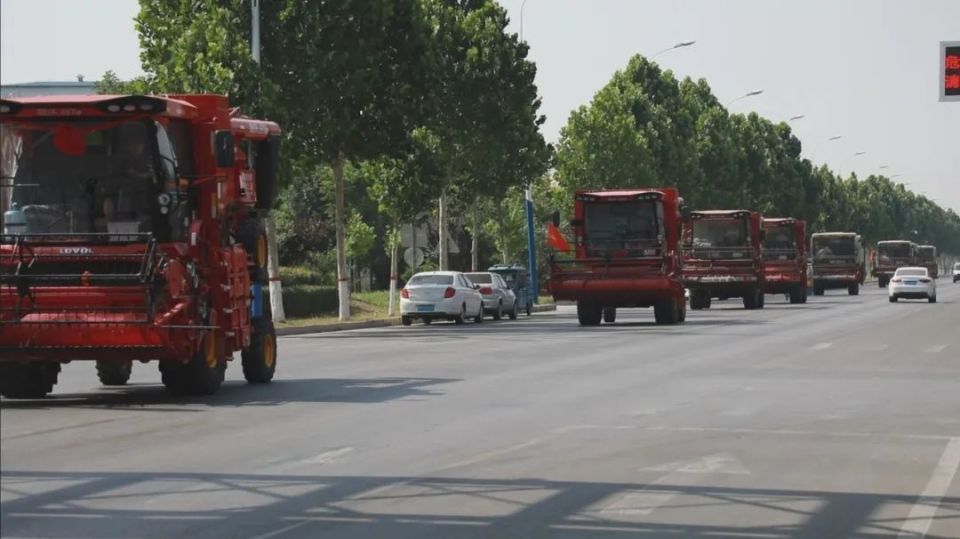 为农机手提供天气预报,市场信息,技术指导等服务,确保全县小麦"成熟即