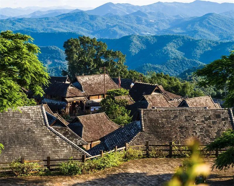 【关注】世界遗产景迈山迎来申遗后首次春茶采摘_腾讯新闻