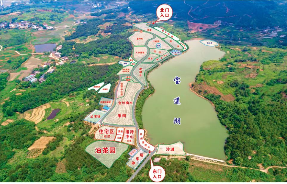 五一"衡"好耍丨祁东,中国黄花菜之乡有"看头"