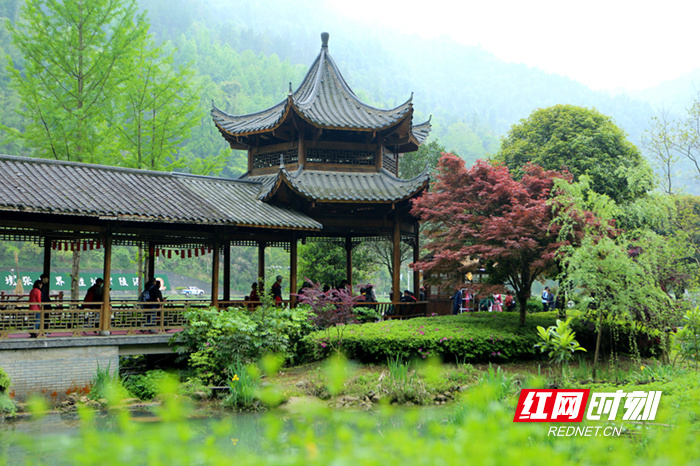 张家界黄龙洞景区:春色如画游人醉(组图)