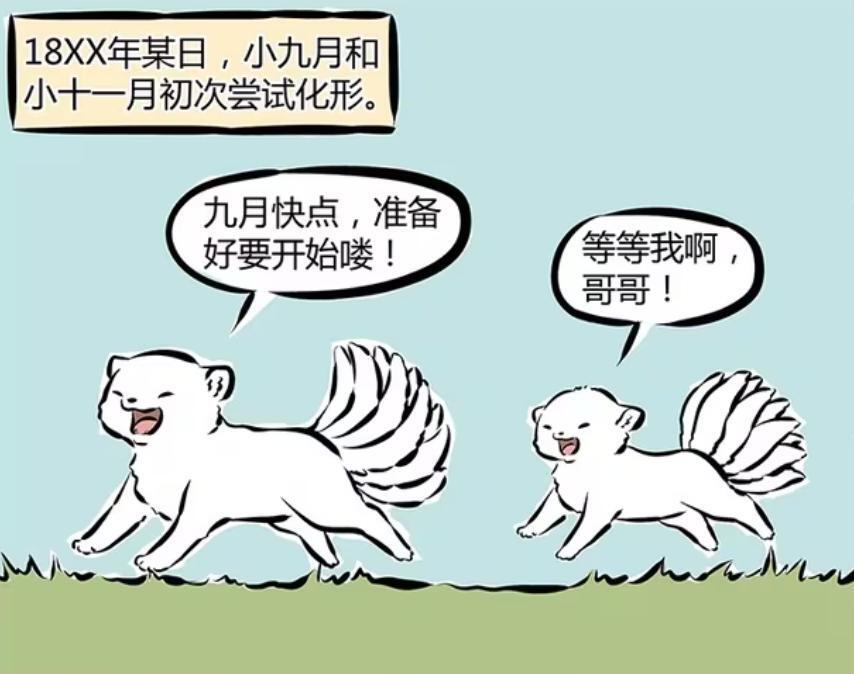 非人哉：十一月是个怎么样的人？小时候是天才，高中时期是学霸-古次元
