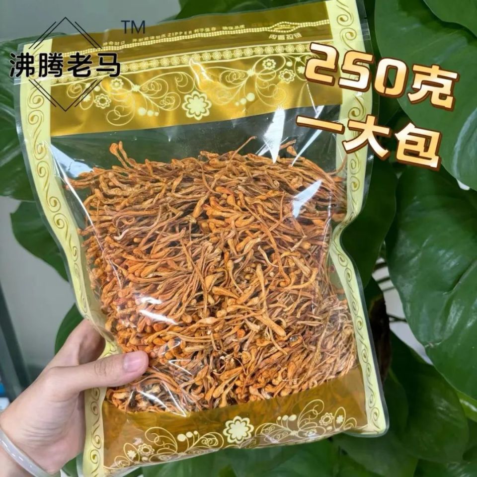 孢子头高货!沈阳原色无硫虫草花,289元半斤超大袋!