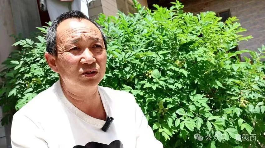 独腿少年张启航:跳向更高更远的地方