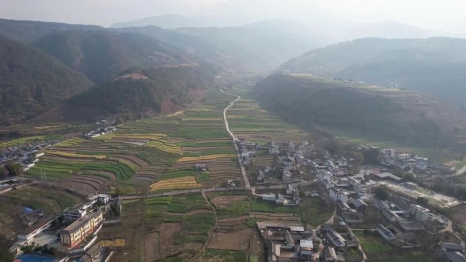 漾濞:"四荤四素"呈上"产业大餐"_腾讯新闻