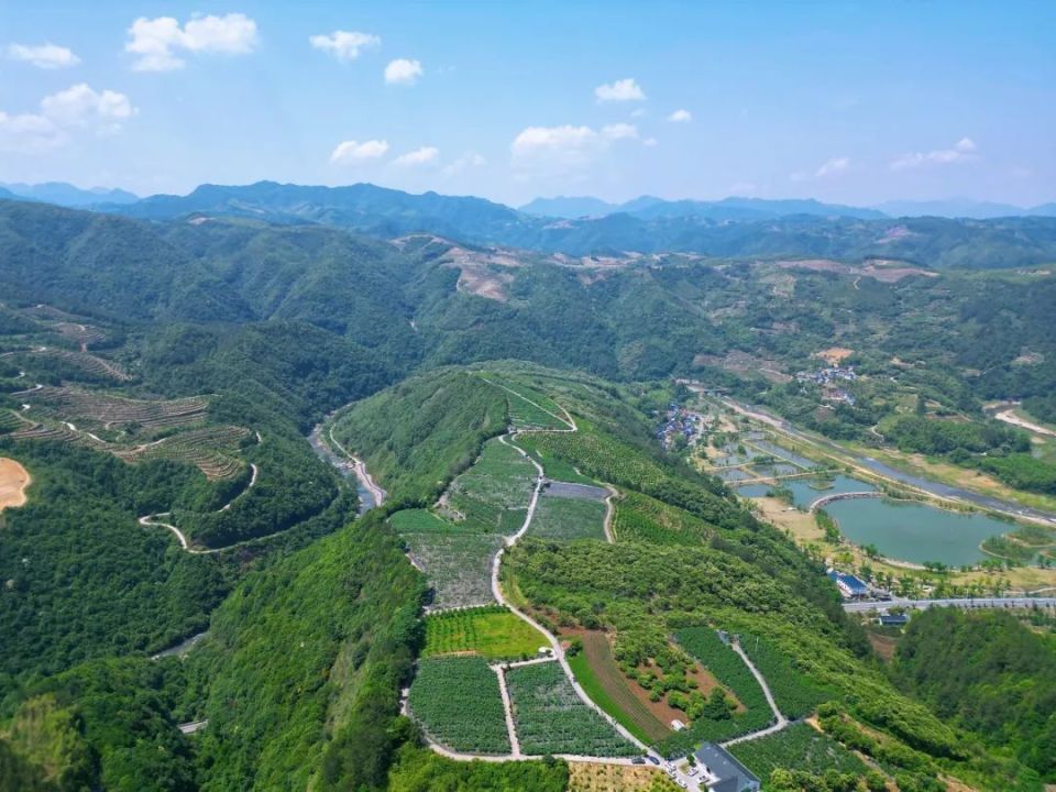门票免费送!快来遂昌湖山遇见"莓"好时光
