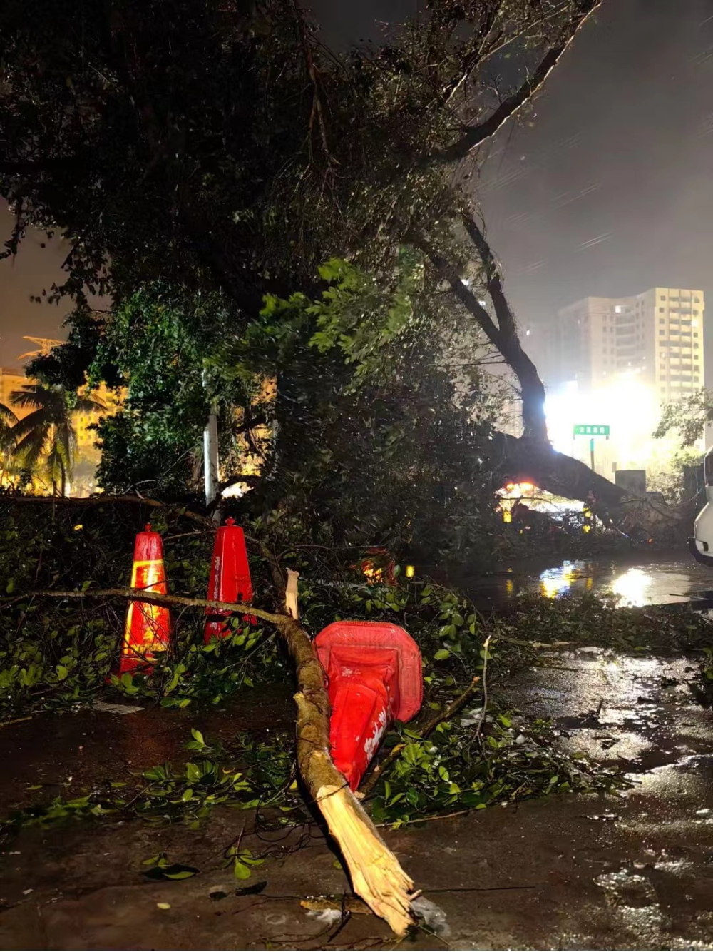 台风"摩羯"过境后,海南人的朋友圈