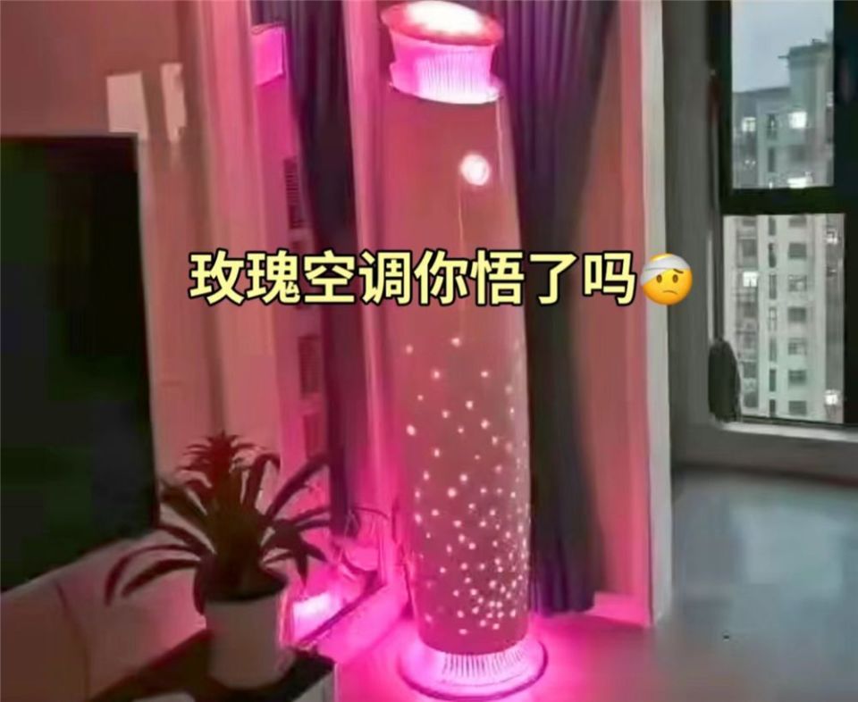 类似的装修,也在厨房卫生间柜门上比较常见,比如什么花开富贵