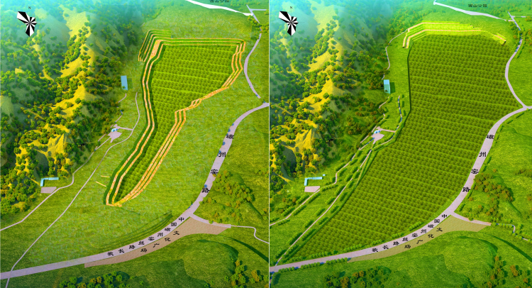 当下时节,南响堂山森林公园层层叠叠的苗木与山间花草相互映衬,让人一