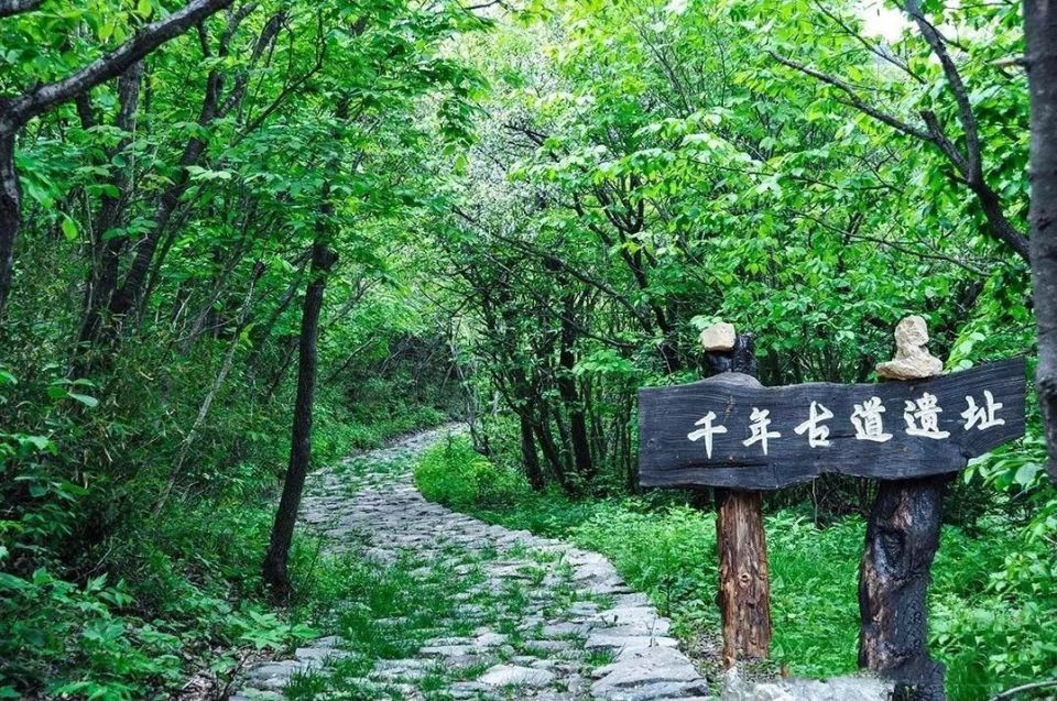 商洛终南山秦楚古道图片