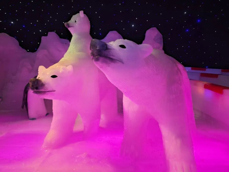 8℃ 轰 "冻"新乡 | 四季城第二届冰雕展 正!式!开!幕!啦!