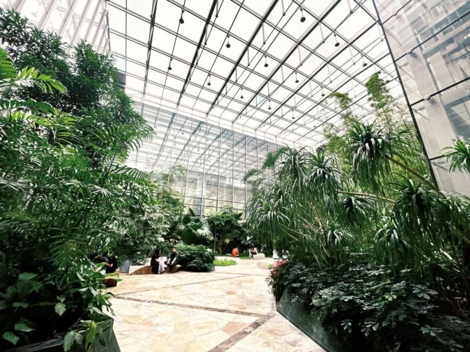知春路让海淀也chill上了_腾讯新闻