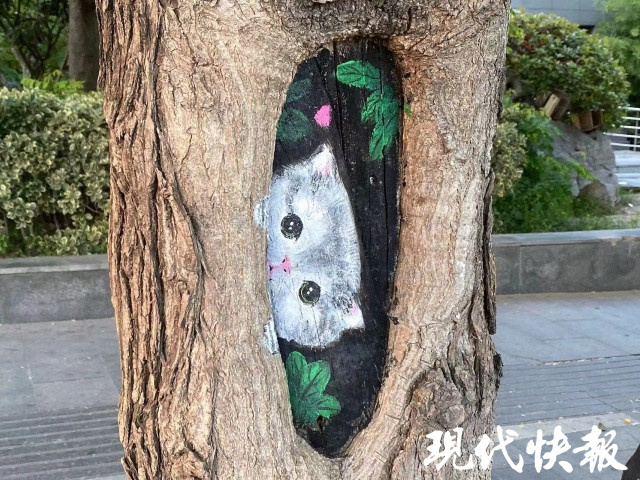 树洞里住进小精灵超萌树洞画引网友点赞