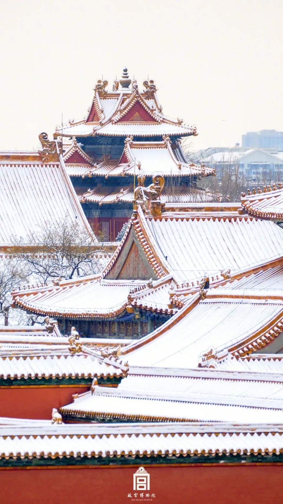 北京故宫竖屏图片图片