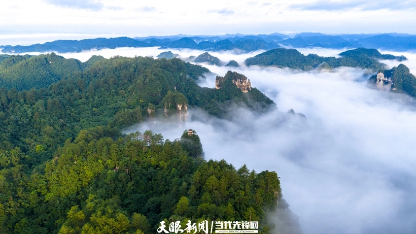 何以中国｜125.8万座山头，藏着贵州的奋斗足迹_腾讯新闻