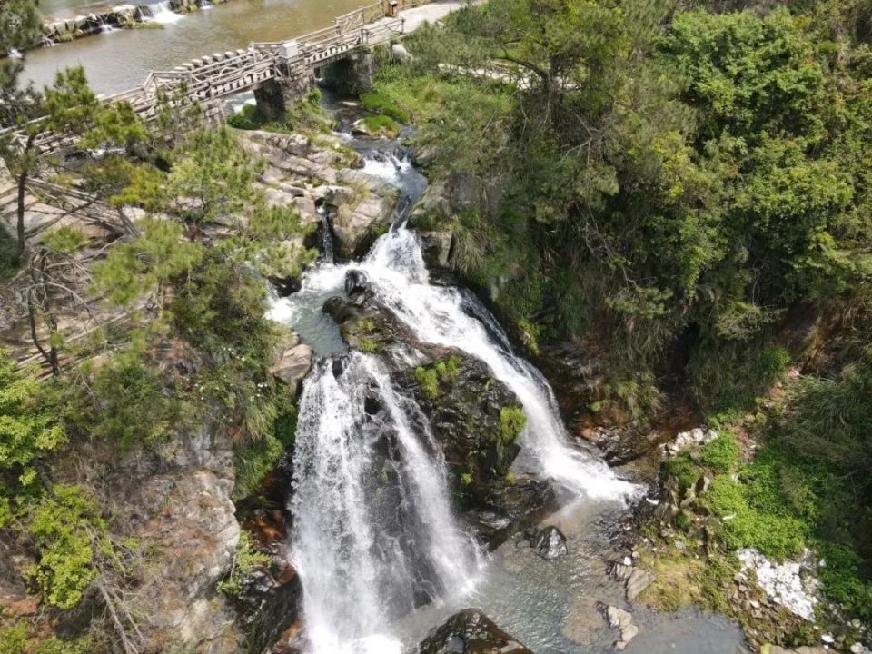 趣味十足溪禾山铁观音文化园丰富多彩的主题活动金谷溪岸艺术公园经典