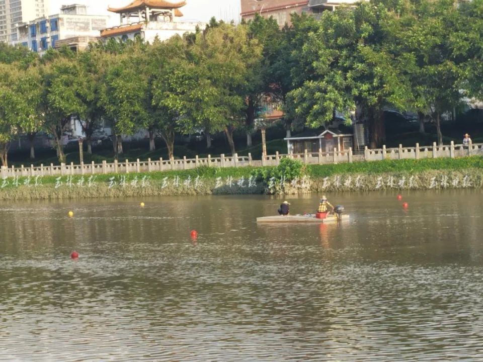 6月7日下午,记者看到南流江城区河段参加龙舟赛的16条龙舟已经运达江