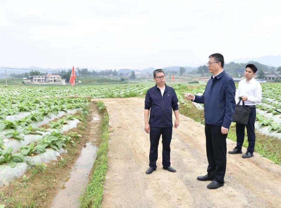 李睿首先来到播州区西坪镇桂山村,实地察看高标准农田建设,详细了解