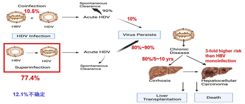 庄辉院士：2025年5月EASL发布的乙肝指南要点介绍_https://www.jmylbn.com_新闻资讯_第8张