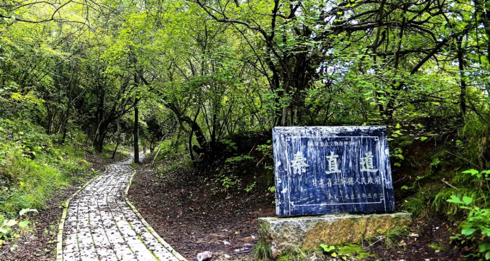 18万铁骑走遍秦直道,从咸阳开始,沿淳化县北凉武帝村秦林光宫遗址北行