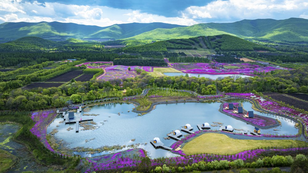 宝清芝樱花海@你 一起来场"浪漫之旅"