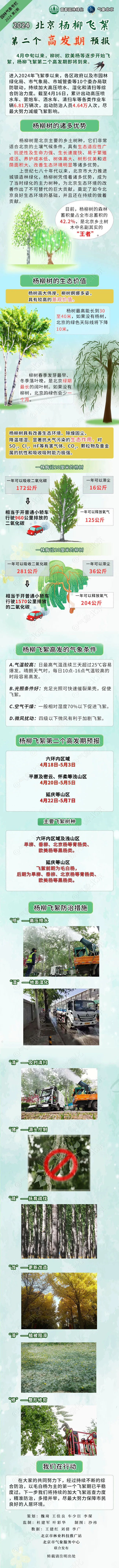 北京市六环内区域迎杨柳飞絮第二个高发期持续至5月3日